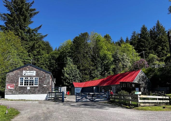 Blackbird Tearoom